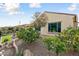 Landscaped side yard with mature lemon trees at 26822 W Oraibi Dr, Buckeye, AZ 85396