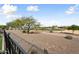 Scenic view of a golf course from the backyard at 26822 W Oraibi Dr, Buckeye, AZ 85396