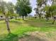 Green lawn area in the community with mature trees at 1217 E Fremont Dr, Tempe, AZ 85282