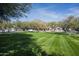 Landscaped community lawn with mountain views at 20402 N 100Th Pl # 1326, Scottsdale, AZ 85255