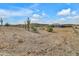 Large lot with desert landscape and distant mountain views at 28204 N Royce Rd, Queen Creek, AZ 85144