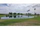 Serene pond on the golf course with palm trees and lush greenery at 2064 S Farnsworth Dr # 18, Mesa, AZ 85209