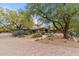 Landscaped front yard with a paved driveway at 4531 E Quartz Mountain Rd, Paradise Valley, AZ 85253