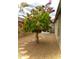 Backyard with a blooming purple tree and stone pathway at 13640 W Paso Trl, Peoria, AZ 85383