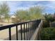 Backyard view with a black metal fence at 13640 W Paso Trl, Peoria, AZ 85383