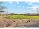 Open green space perfect for recreation at 40030 W Venture Rd, Maricopa, AZ 85138