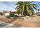 House with palm tree and landscaped yard at 15744 W Clear Canyon Dr, Surprise, AZ 85374