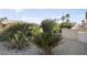 Landscaped backyard with desert plants and gravel at 17346 W Alder Ln, Surprise, AZ 85387