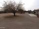 Large backyard with gravel and a tree at 30138 W Roosevelt St, Buckeye, AZ 85396