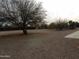 Gravel backyard with trees and a chain link fence at 30138 W Roosevelt St, Buckeye, AZ 85396