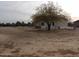 Home exterior with a large yard and a tree at 30138 W Roosevelt St, Buckeye, AZ 85396