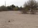 Image of a vacant lot with desert landscape at 30138 W Roosevelt St, Buckeye, AZ 85396