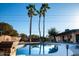 Relaxing backyard with a refreshing pool and palm trees at 10601 N 26Th Pl, Phoenix, AZ 85028