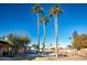 Palm trees frame this beautiful backyard with pool at 10601 N 26Th Pl, Phoenix, AZ 85028