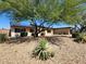 Single story home with desert landscaping and solar panels at 10601 N 26Th Pl, Phoenix, AZ 85028