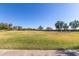 Spacious community park with grassy areas, trees, and soccer goals at 1265 S Aaron -- # 359, Mesa, AZ 85209