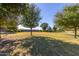 Green grassy park area with mature trees and park bench at 1265 S Aaron -- # 359, Mesa, AZ 85209