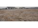 Large lot with a view of neighboring properties at 22538 W Pecan Rd, Buckeye, AZ 85326