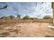 Large backyard with block wall and small plants at 5659 S 239Th Dr, Buckeye, AZ 85326