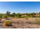 Community view showcasing homes and lush green spaces at 11553 W Sonoran Ct, Surprise, AZ 85378