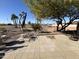 Large backyard with gravel, mature trees, and open space at 4065 E University Dr # 373, Mesa, AZ 85205