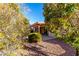Backyard patio area partially obscured by trees and bushes at 12838 S 40Th Pl, Phoenix, AZ 85044