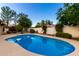 Stunning blue pool surrounded by lush landscaping at 16205 N Zane Grey Ln Ln, Fountain Hills, AZ 85268