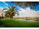 Peaceful golf course view with palm trees and a lake at 9521 E Rocky Lake Dr, Sun Lakes, AZ 85248