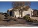 Charming one-story home with a large tree in the front yard and drought-tolerant landscaping at 27292 W Ross Ave, Buckeye, AZ 85396