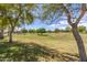 Picturesque park landscape with sprawling lawns and trees at 5345 S Mill Ave, Tempe, AZ 85283