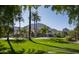 Luxury home with mountain views and palm trees at 6161 N 59Th Pl, Paradise Valley, AZ 85253