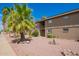 Building exterior showcasing landscaping and palm trees at 2150 W Missouri Ave # 210, Phoenix, AZ 85015