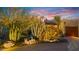 Landscaped front yard with Southwestern plants and lighting at sunset at 5640 E Miramonte Dr, Cave Creek, AZ 85331