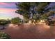 Backyard view of home with mature trees and lighting at 9843 W Cedar Dr, Sun City, AZ 85351