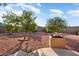 Landscaped backyard with two fruit trees and fire pit at 9843 W Cedar Dr, Sun City, AZ 85351