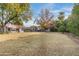 Large backyard with a grassy area and mature trees at 1251 W Rancho Dr, Phoenix, AZ 85013