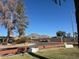 Residential street view with mountain backdrop at 4461 E Flower St, Phoenix, AZ 85018