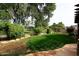 Large grassy backyard with mature trees and stone patio at 7032 W Aurora Dr, Glendale, AZ 85308