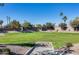 Landscaped community lawn with pathway and trees at 1255 N Arizona Ave # 1276, Chandler, AZ 85225