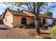 House exterior showcasing a large tree and well-maintained landscaping at 5147 W Seldon Ln, Glendale, AZ 85302