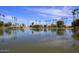 Scenic lake in a community park with palm trees at 1831 N 77Th St, Scottsdale, AZ 85257