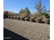 Landscaped backyard with gravel and a row of shrubs at 18046 N Stonegate Rd, Maricopa, AZ 85138