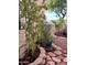 Charming backyard with stone path, various plants, and a wooden planter at 771 E Pepper Dr, Casa Grande, AZ 85122