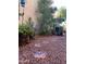Landscaped backyard with gravel, stone pathways, and various plants at 771 E Pepper Dr, Casa Grande, AZ 85122