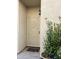 Front door entrance with security screen and small plants at 771 E Pepper Dr, Casa Grande, AZ 85122