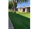 Landscaped lawn with mature trees and walkway at 7950 E Keats Ave # 194, Mesa, AZ 85209