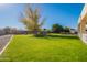 Large grassy backyard with mature tree and shed at 21391 E Orchard Ln, Queen Creek, AZ 85142