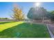 Large backyard with lush grass, mature trees, and a swing bench at 21391 E Orchard Ln, Queen Creek, AZ 85142