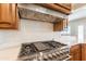 Stainless steel range and modern vent hood in a spacious kitchen at 21391 E Orchard Ln, Queen Creek, AZ 85142