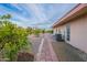 Pathway through the backyard leads to citrus trees and gravel at 9526 W Cedar Hill Cir, Sun City, AZ 85351